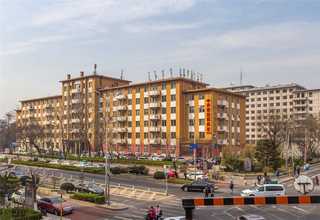 内蒙古选择纤维素纤维质量好